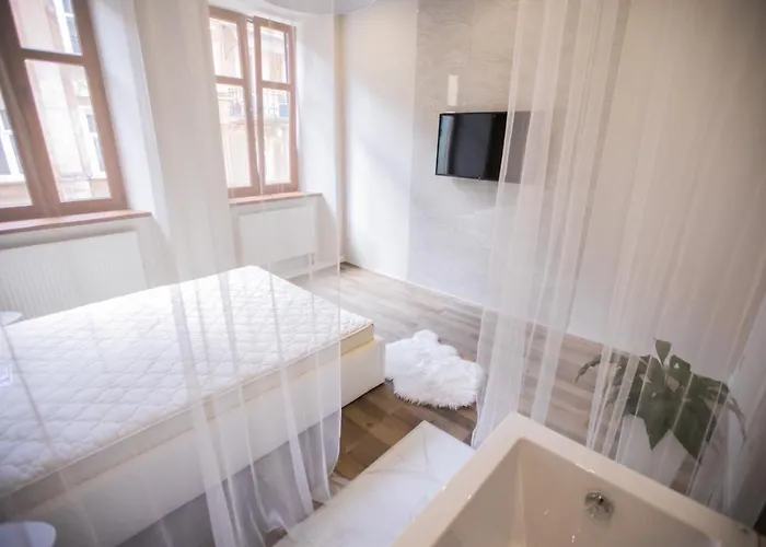 з кондиціонером на вулиці староєврейська 15 з ванною посеред спальні 公寓 *