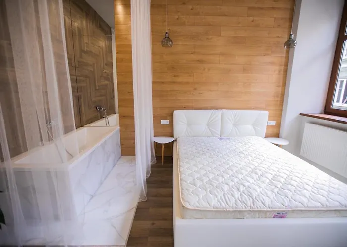 з кондиціонером на вулиці староєврейська 15 з ванною посеред спальні 利沃夫